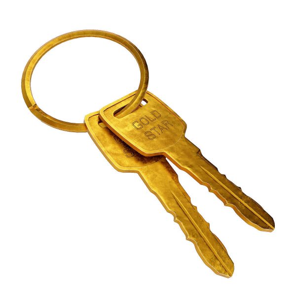 Key 3d model two gold keys