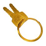 Key 3d model two gold keys