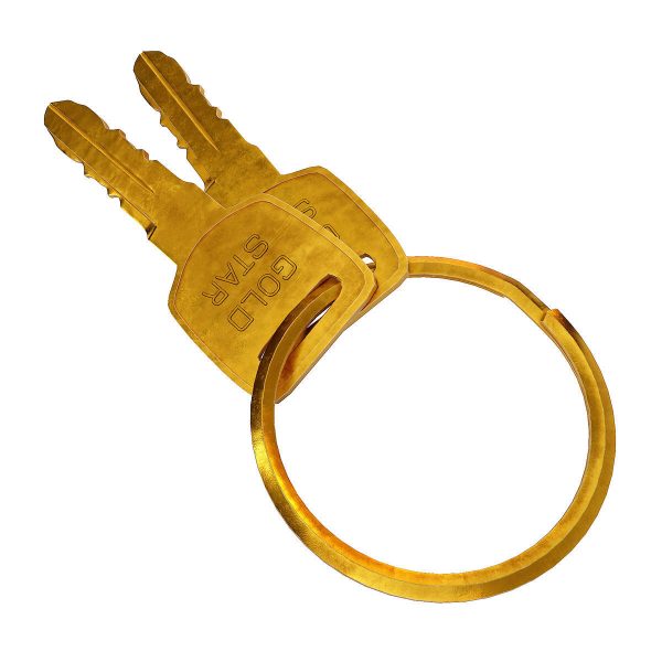 Key 3d model two gold keys