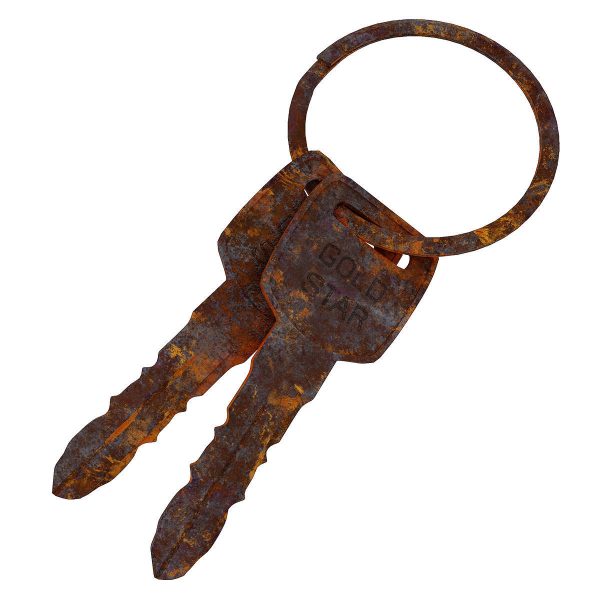 Key 3d model two gold keys