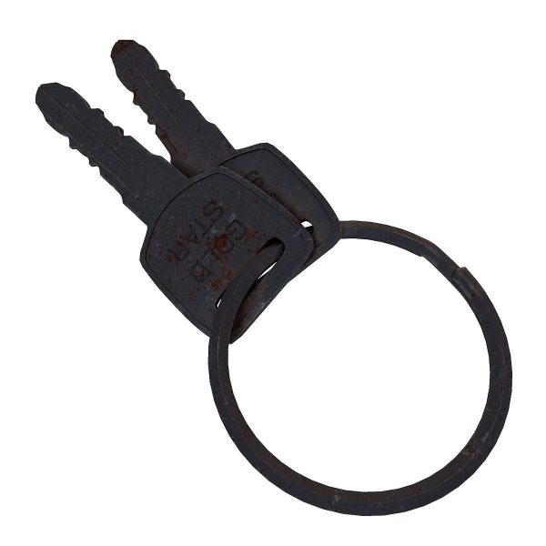 Key 3d model two gold keys