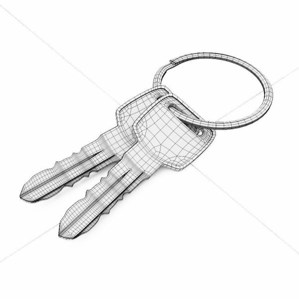 Key 3d model two gold keys