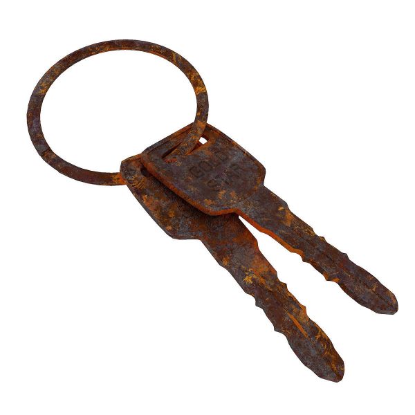 Key 3d model two gold keys