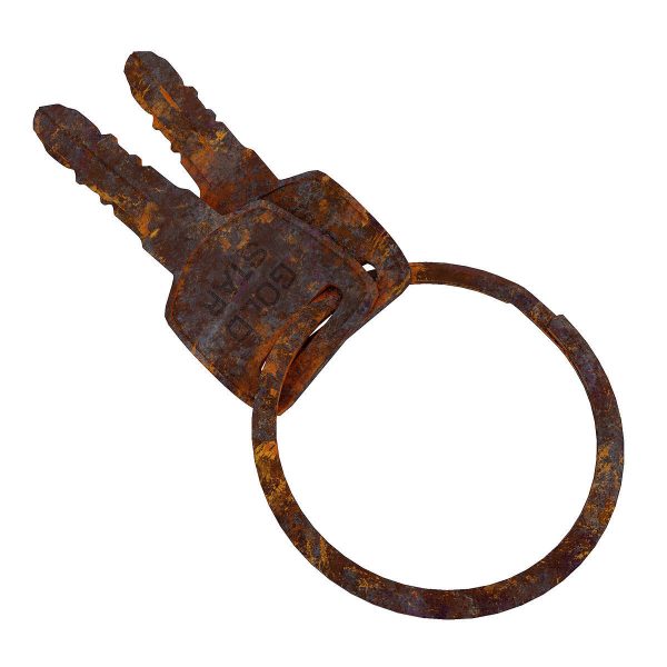 Key 3d model two gold keys