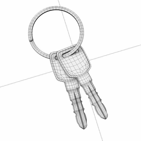 Key 3d model two gold keys