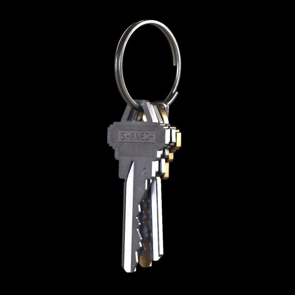 Key Ring