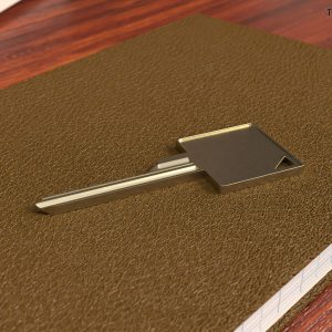 key-type-schlage-3d-model-1155e3711b