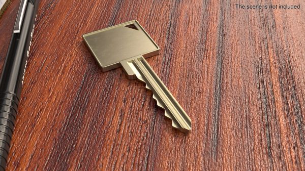 Key Type Schlage