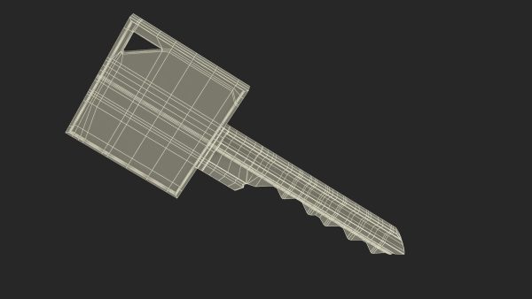 Key Type Schlage