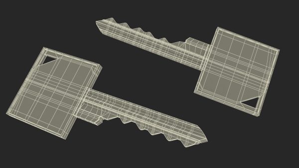 Key Type Schlage
