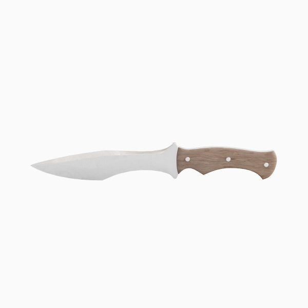 Kitchen Knife 01