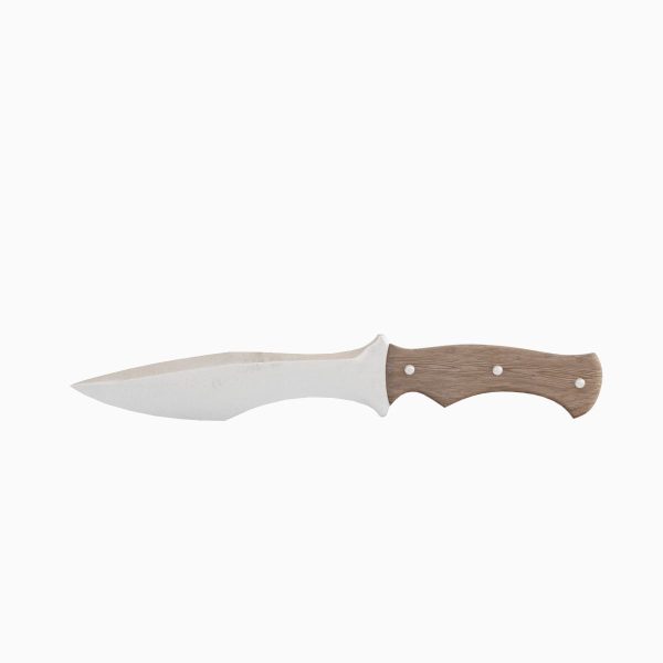 Kitchen Knife 01