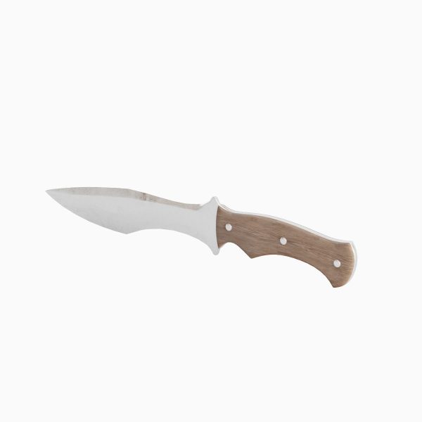 Kitchen Knife 01