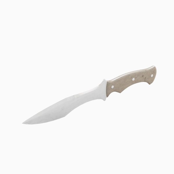 Kitchen Knife 02