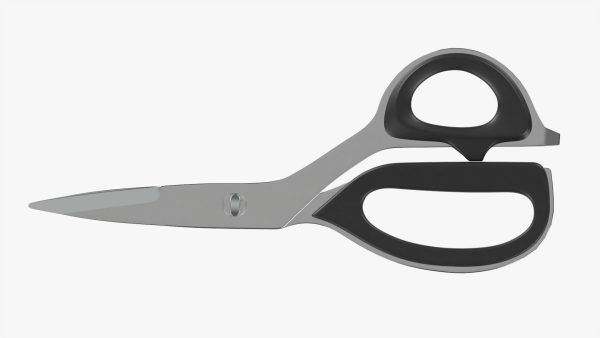 Kitchen scissors 01