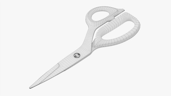 Kitchen scissors 01