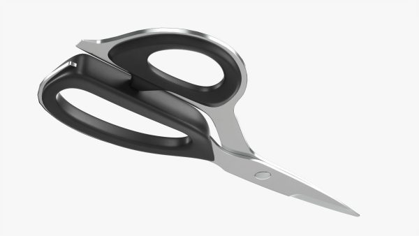 Kitchen scissors 01