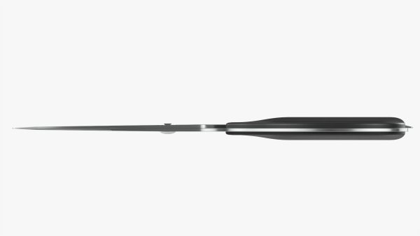 Kitchen scissors 01