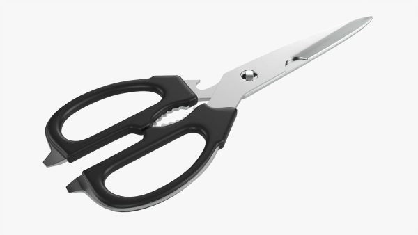 Kitchen scissors 02