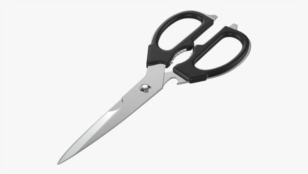 Kitchen scissors 02