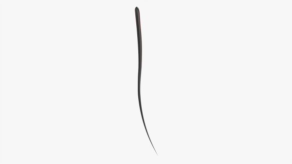 Kitchen spatula