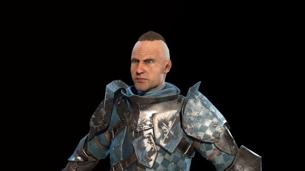 Knights knight in armor