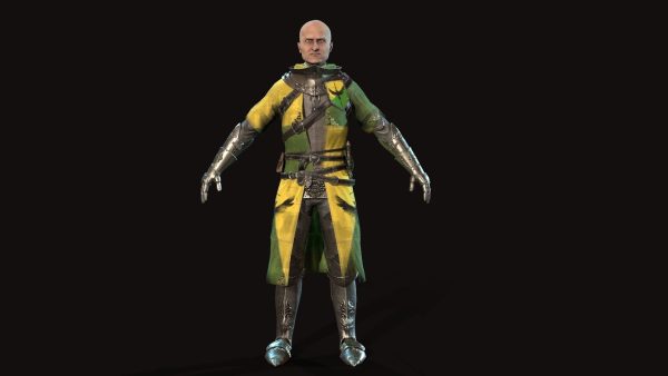 Knights knight in armor