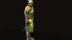 Knights knight in armor