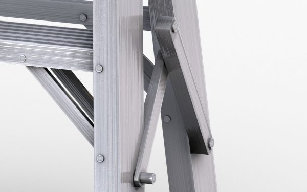Ladder