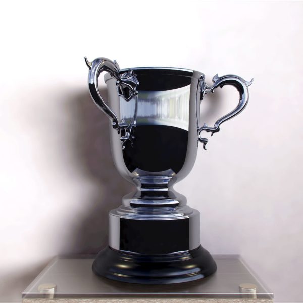 League Cup Trophy 3D Model V-RAY Cinema 4D