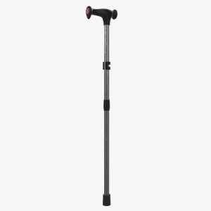 lightweight-walking-stick-3d-model-max-obj-fbx-gltf