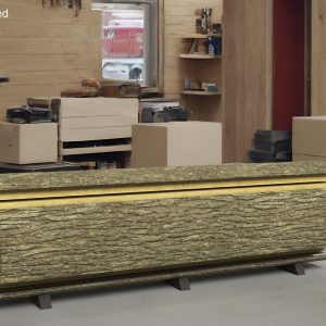 log-cross-section-3d-model-33936d296d