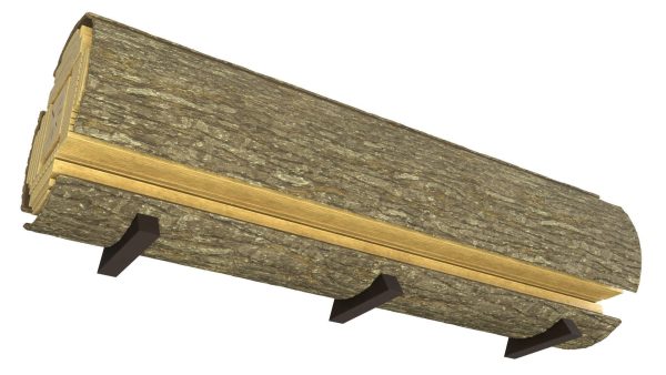 Log Cross Section