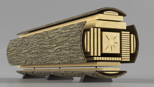 Log Cross Section