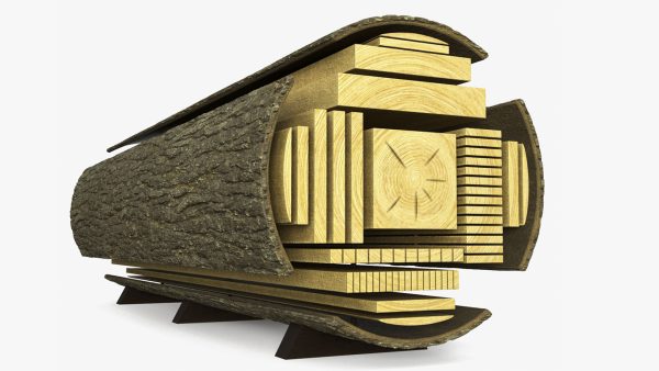 Log Cross Section