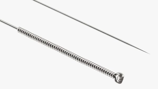 Long Acupuncture Needle Silver