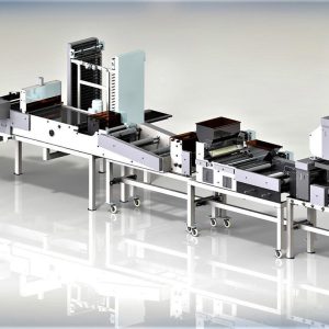 Machine for making salted sticks