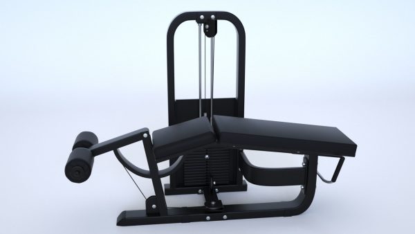 Massive Gym Equipment Collection