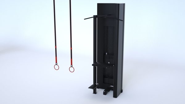 Massive Gym Equipment Collection
