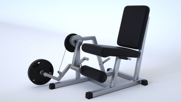 Massive Gym Equipment Collection