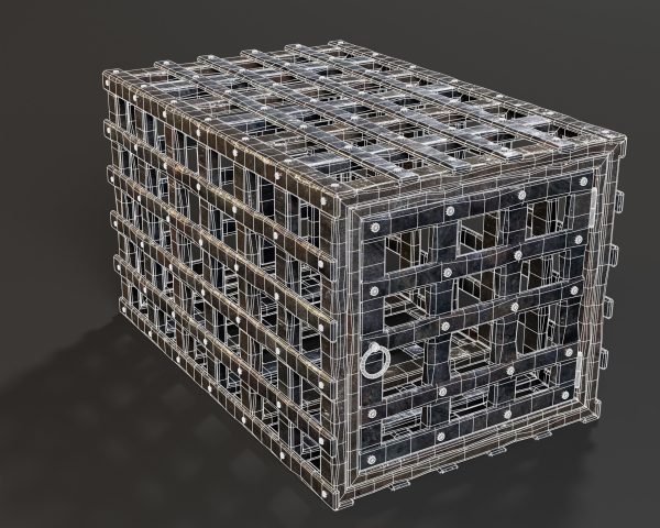 Medieval Iron Cage