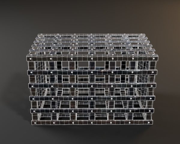 Medieval Iron Cage