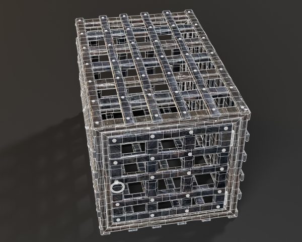 Medieval Iron Cage