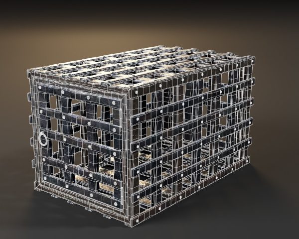 Medieval Iron Cage