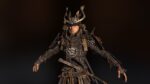 medieval knights collection