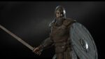 medieval knights collection