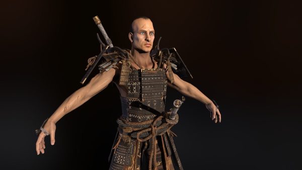 medieval knights collection