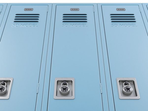 Metal Locker With Padlock
