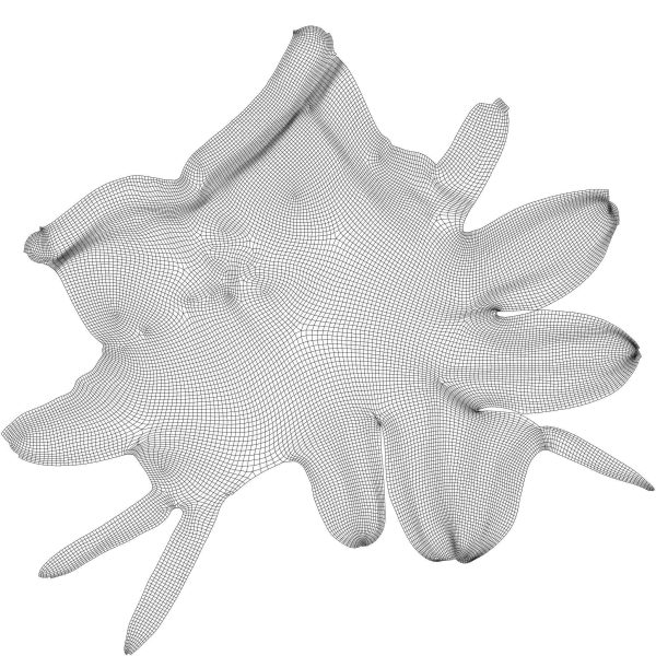 Two Tone Glove