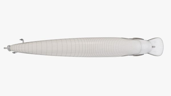 Minnow type fishing lure 01